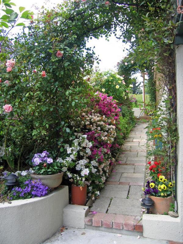 Mcauley Glen Boutique B&B Portobello Екстер'єр фото