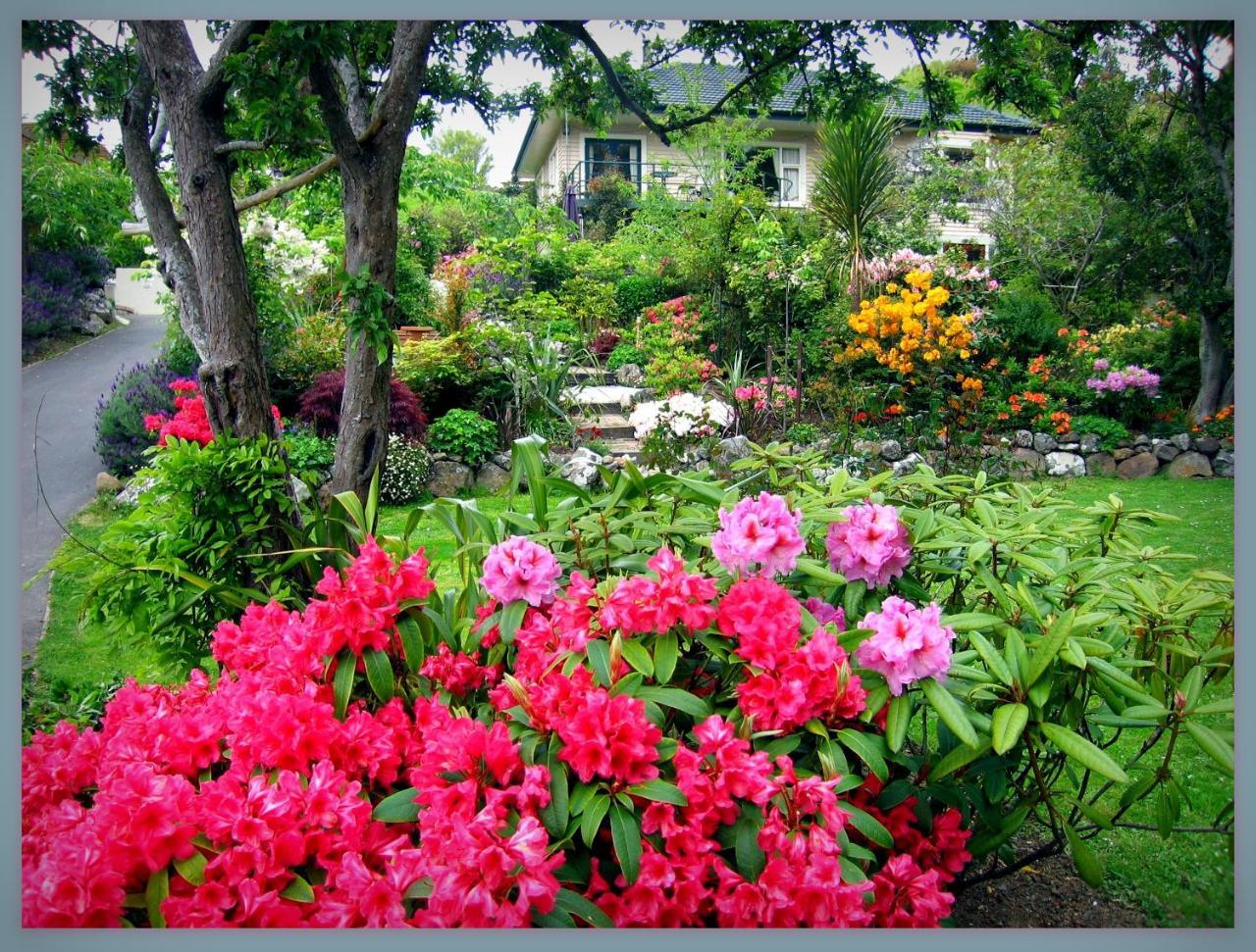 Mcauley Glen Boutique B&B Portobello Екстер'єр фото